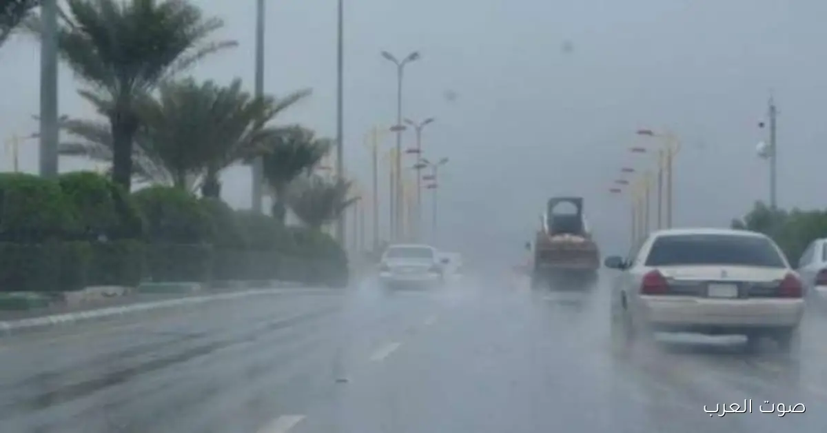 حالة الطقس الأسبوع الجاي.. درجات حرارة مفاجئة وأمطار جاية