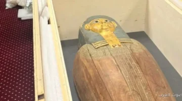 1764703816 مصر ترجع قطعتين أثريتين من بلجيكا