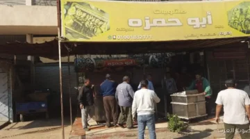 1764727395 حملات لمراقبة المخالفات وإزالة التعديات في العاشر من رمضان