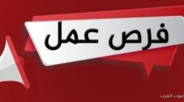 1764775849 فرص شغل في محطة الضبعة النووية الرواتب بتبدأ من 13