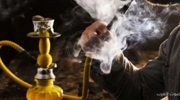 1764858620 الصحة تفاجئ مدخني الشيشة بكل أنواعها مع تفاصيل جديدة