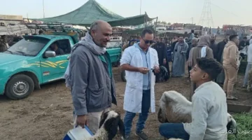 1764927197 تحصين 81 مليون رأس ماشية ضد الأمراض الوبائية في مصر