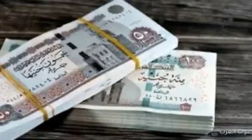 1764935009 معاش تكافل وكرامة 2025 إزاي تستعلم عن الصرف والشروط والمواعيد
