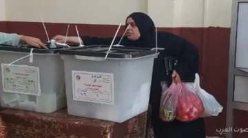 أرقام متضاربة أسباب إلغاء انتخابات مجلس النواب في الدائرة الأولى