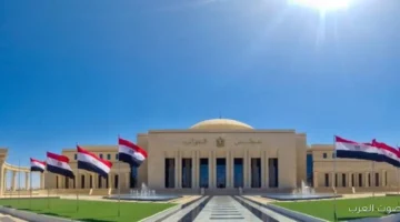 أسباب إلغاء آخر دائرة في انتخابات مجلس النواب بسوهاج عدم