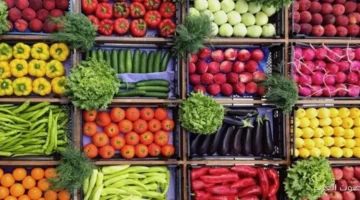 أسعار الفاكهة والخضروات اليوم الثلاثاء 2 ديسمبر 2025 في أسواق التجزئة والمحلات التجارية 27 أسعار الفاكهة والخضروات اليوم