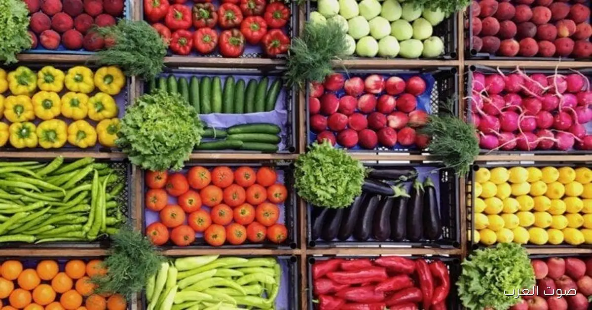 أسعار الفاكهة والخضروات اليوم الثلاثاء 2 ديسمبر 2025 في أسواق التجزئة والمحلات التجارية