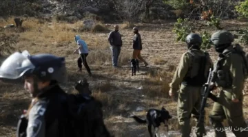 إصابة 7 فلسطينيين بسبب هجوم مستوطنين شمال الخليل