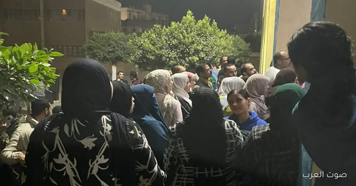 إلغاء نتيجة انتخابات مجلس النواب في الداخلة بالوادي الجديد: كل التفاصيل