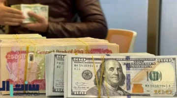 استقرار الدولار مقابل الجنيه المصري