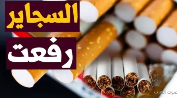 اسعار السجائر اليوم