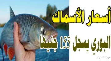 اسعار السمك اليوم