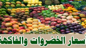 جدول اسعار الفاكهة والخضروات اليوم الخميس 4-12-2025 في سوق العبور 9 اسعار الفاكهة والخضروات اليوم