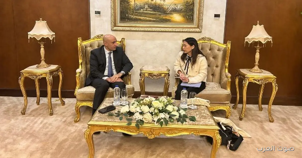 افتتاح 14 مدرسة جديدة والتربية والتعليم بتتابع تطورات مشروع المدارس اليابانية في مصر 2 افتتاح 14 مدرسة جديدة والتربية والتعليم بتتابع تطورات مشروع المدارس اليابانية في مصر