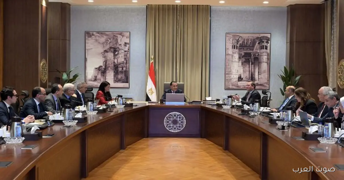 الحكومة تقرر تحويل 9 هيئات من اقتصادية لعامة 2 الحكومة تقرر تحويل 9 هيئات من اقتصادية لعامة