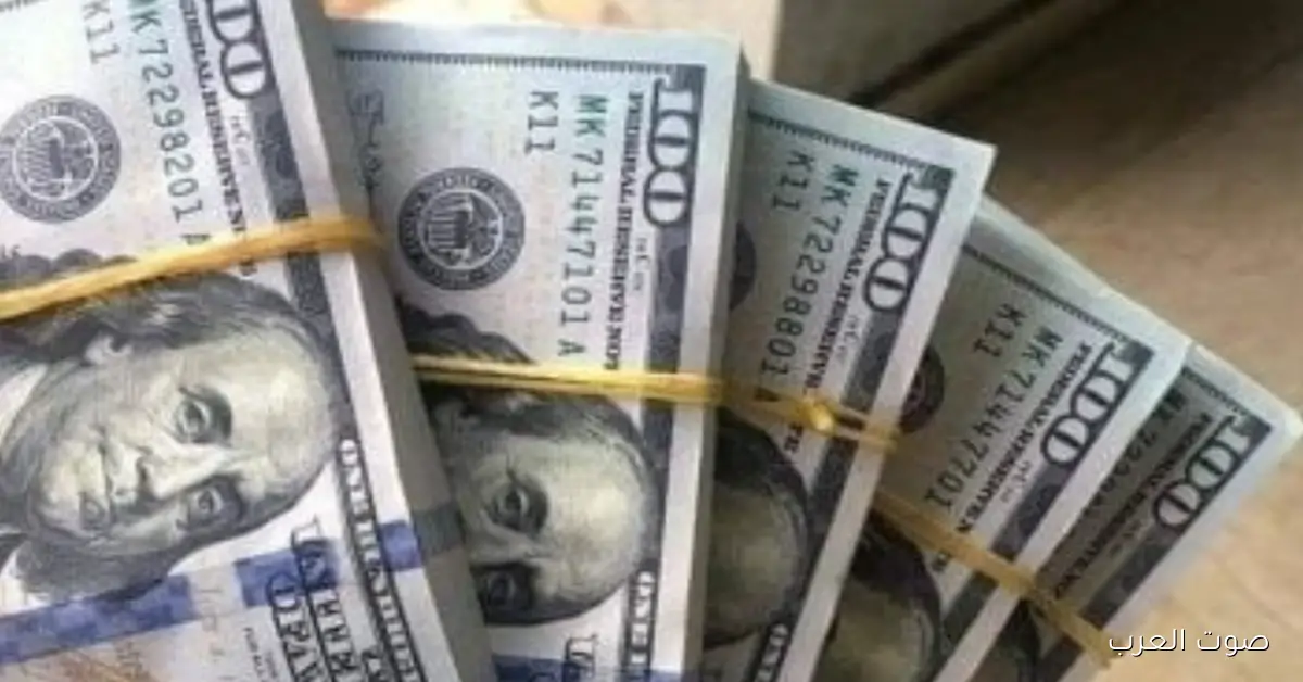 سعر الدولار في السوق السوداء مقابل الجنية اليوم الاثنين 1 ديسمبر 2025 والبنوك الرسمية