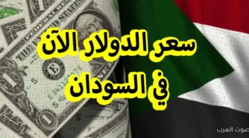 سعر الدولار مقابل الجنيه السوداني اليوم الأربعاء 3 ديسمبر 2025 في السوق الموازي والبنوك 30 الدولار في السودان