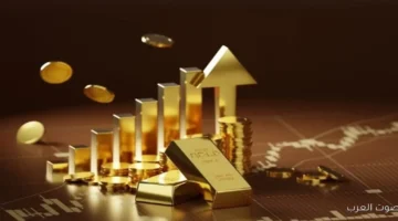 الذهب بيزيد شوية مع انتظار الناس لخفض الفائدة والفضة توصل