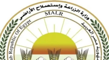 الزراعة توضح شائعات عزوف المزارعين عن القمح مش صحيحة وسعر