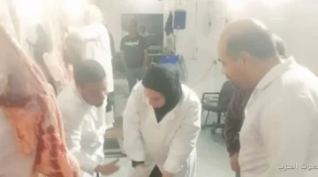 الزراعة ضبط أكتر من 682 طن لحوم مش صالحة في