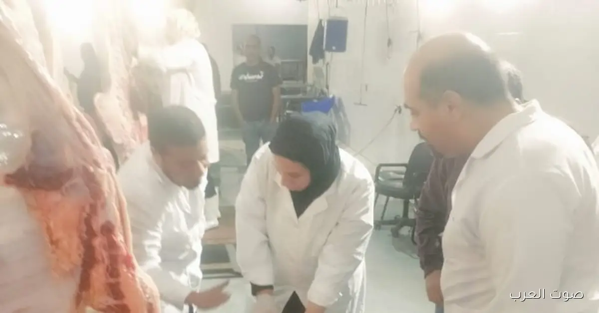 الزراعة: ضبط أكتر من 682 طن لحوم مش صالحة في نوفمبر 2 الزراعة: ضبط أكتر من 682 طن لحوم مش صالحة في نوفمبر