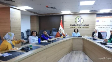 القومي للمرأة يعقد اجتماع مع شركاء الدعم النفسي لبحث سبل