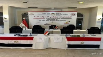 المصريين في الأردن بدأوا التصويت في الدوائر الـ19 الملغاة في