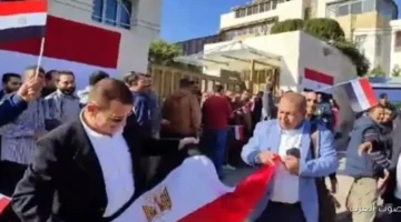 المصريين في الخارج يصوتوا في 19 دائرة ملغية خلال المرحلة