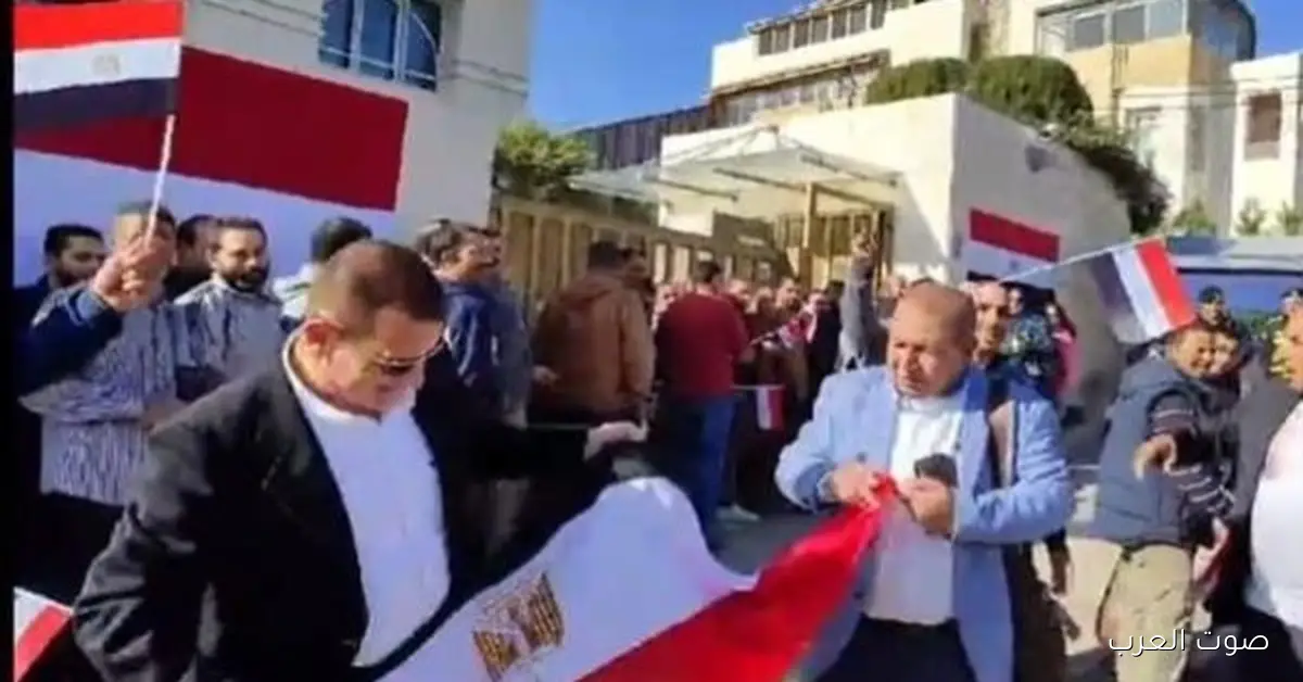 المنظمة العربية تراقب التصويت في الدوائر الملغاة في المرحلة الأولى من الانتخابات 2 المنظمة العربية تراقب التصويت في الدوائر الملغاة في المرحلة الأولى من الانتخابات