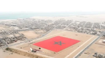 النيجر بتشكر مجلس الأمن على دعمه لمشروع الحكم الذاتي في