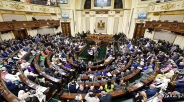 برلماني يؤكد أن تعزيز التصنيع المحلي يقلل من الاعتماد على