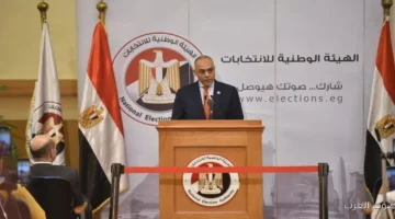 بنداري كلام الرئيس السيسي عن انتخابات مجلس النواب كان طلب