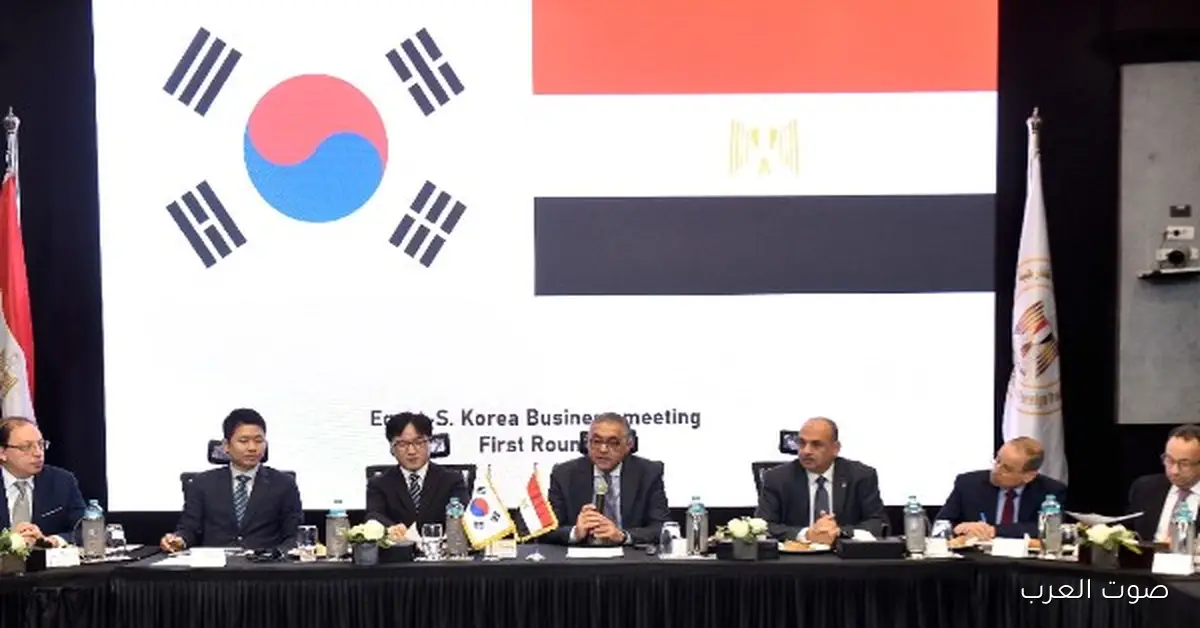 تحالف مصري ودولي لتحسين نظام التخليص الجمركي لجذب استثمارات كبيرة من بره