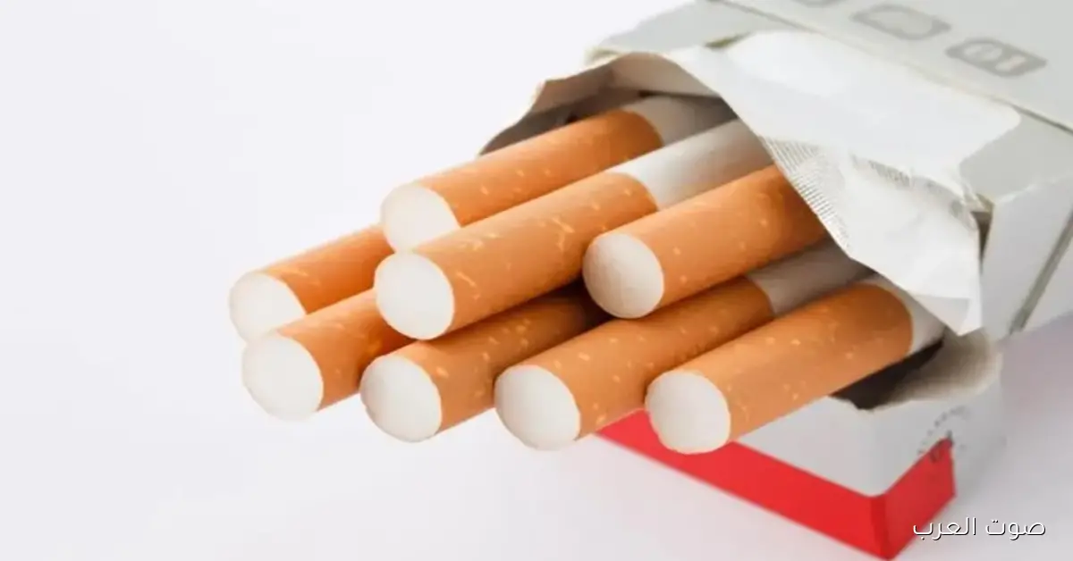 أسعار السجائر اليوم الثلاثاء 2 ديسمبر 2025 في مصر داخل الأسواق بعد تطبيق الزيادة الضريبية