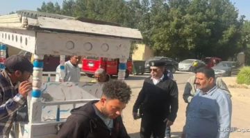 حملات كبيرة لإزالة الإشغالات وضبط المخالفات في الشيخ زايد