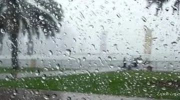 خلي بالك شبورة كثيفة هتأثر على الرؤية في الطرق لحد