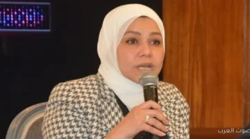 دليل كامل عن الضرائب وخدمات التصدير