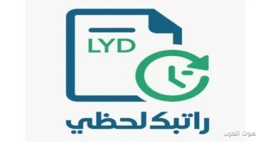 راتبك لحظي 1 1