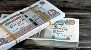 حقيقة زيادة معاشات يناير 2026 وفقا لقرار التأمينات الاجتماعية والفئات المستفيدة 18 زيادة