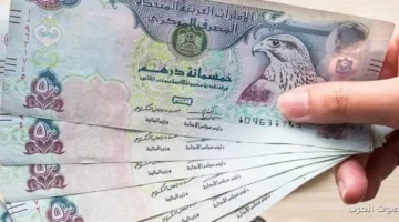 سعر الدرهم الإماراتي مقابل الجنيه المصري اليوم الثلاثاء 2 ديسمبر