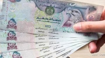 سعر الدرهم الإماراتي مقابل الجنيه المصري في نهاية يوم الاثنين