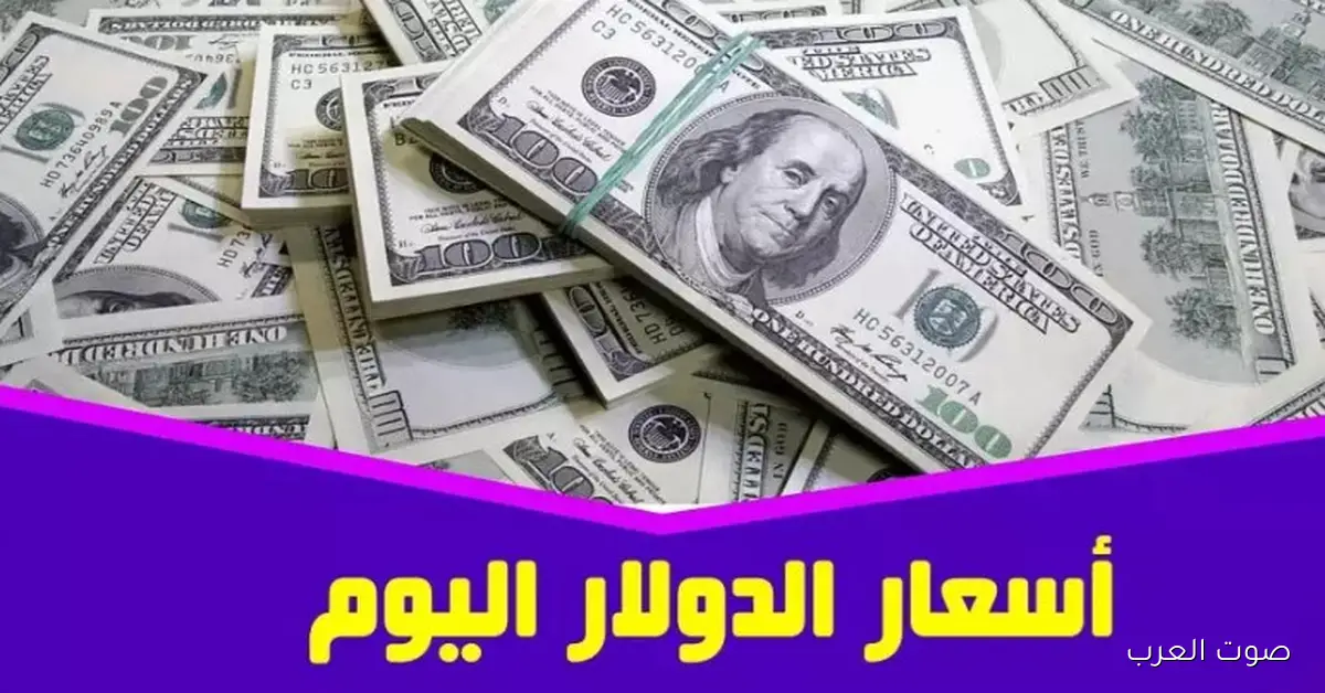 سعر الدولار في السوق السوداء اليوم الثلاثاء 2 ديسمبر 2025 امام الجنية المصري يستقر بشكل ملحوظ 2 سعر الدولار في السوق السوداء اليوم الثلاثاء 2 ديسمبر 2025 امام الجنية المصري يستقر بشكل ملحوظ