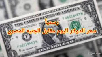 سعر الدولار اليوم في مصر