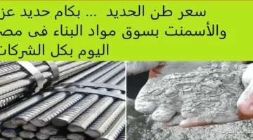 سعر طن الحديد اليوم حديد عز