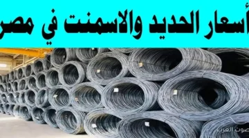سعر طن الحديد والاسمنت