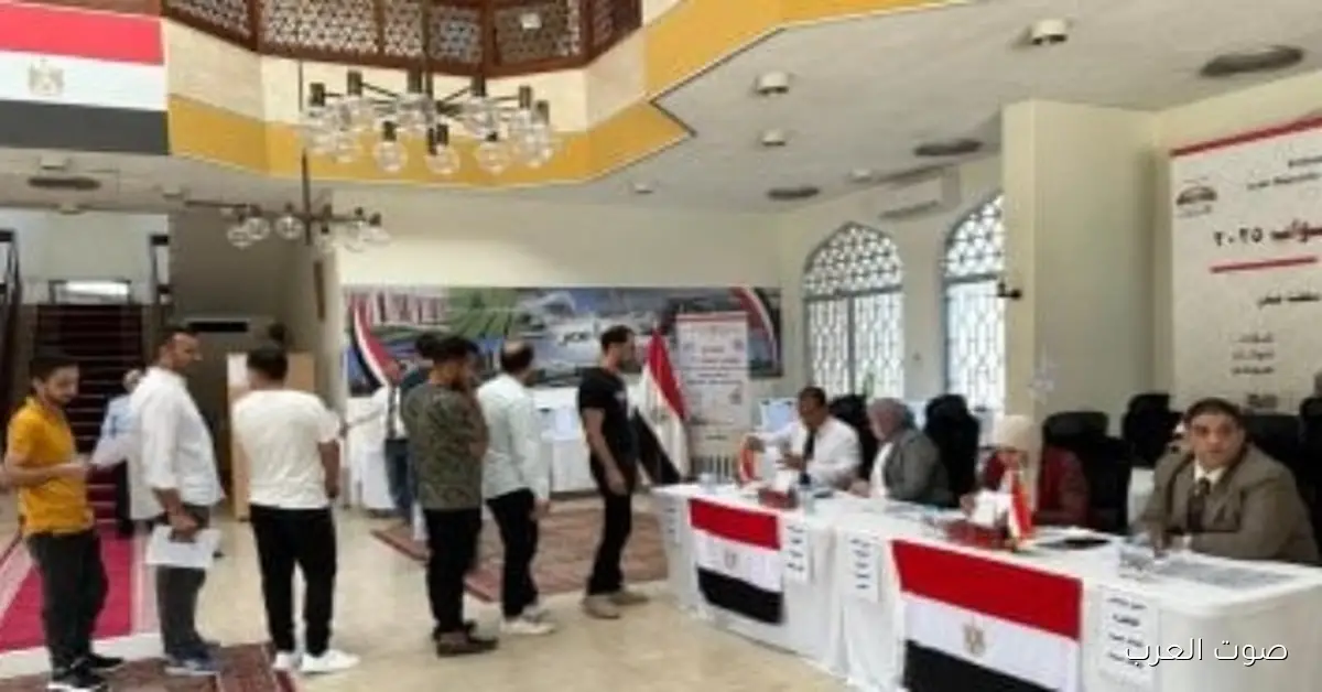 سفير مصر في دبي: إقبال الناس على التصويت زاد عن الجولة الأولى لانتخابات مجلس النواب