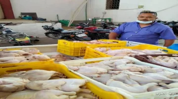 ضبط 84 طنًا من الدواجن المجمدة دون فواتير في ثلاجة