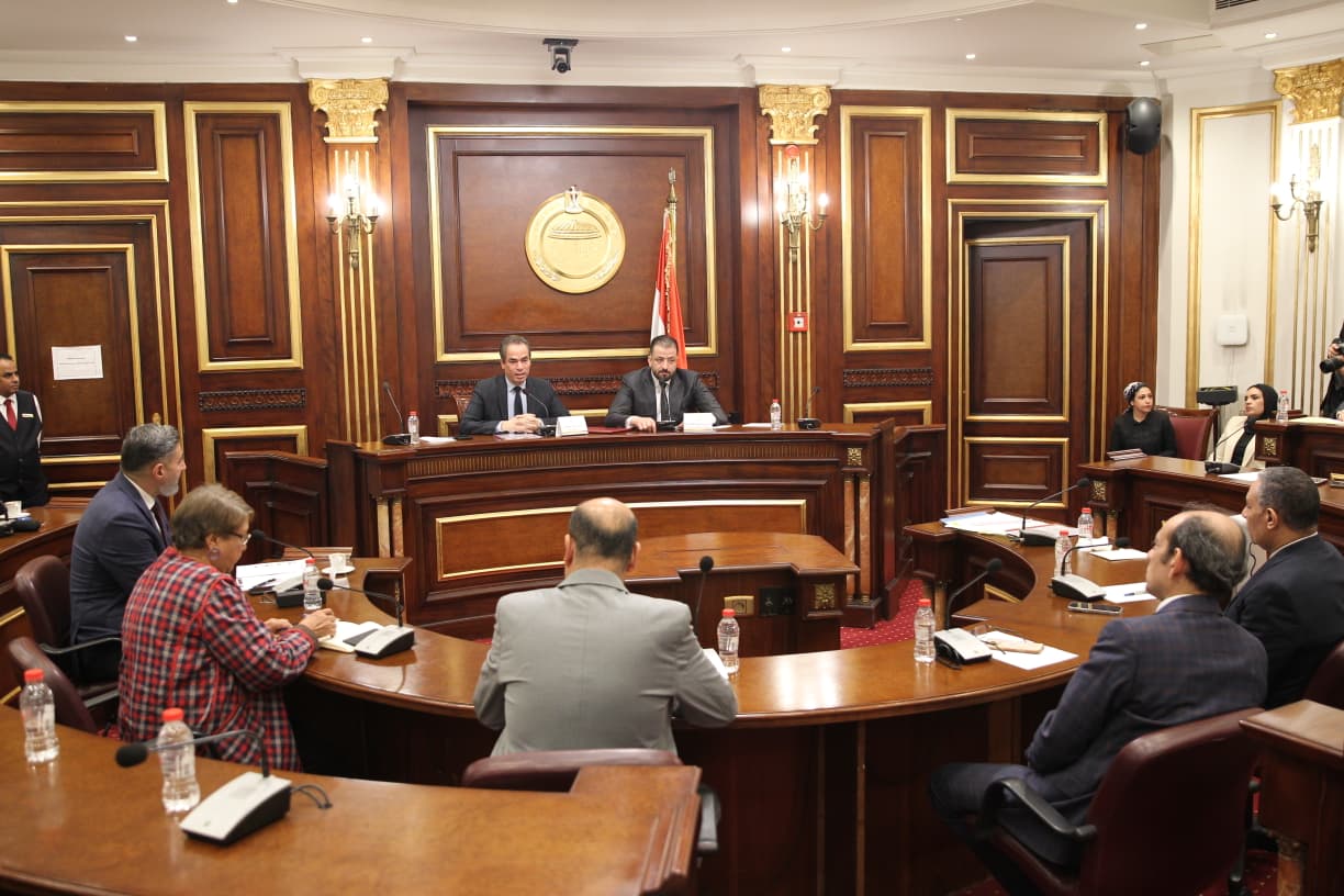 الإعلام المصري