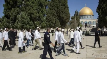 عشرات المستوطنين يدخلوا باحات الأقصى