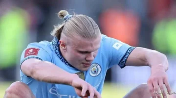 فولهام ضد مان سيتي .. هالاند يسجل رقم قياسي جديد في الدوري الإنجليزي بأسرع 100 هدف 36 فولهام ضد مان سيتي هالاند يسجل رقم قياسي جديد في